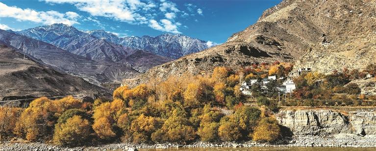 在“世界屋脊”守護(hù)生命健康