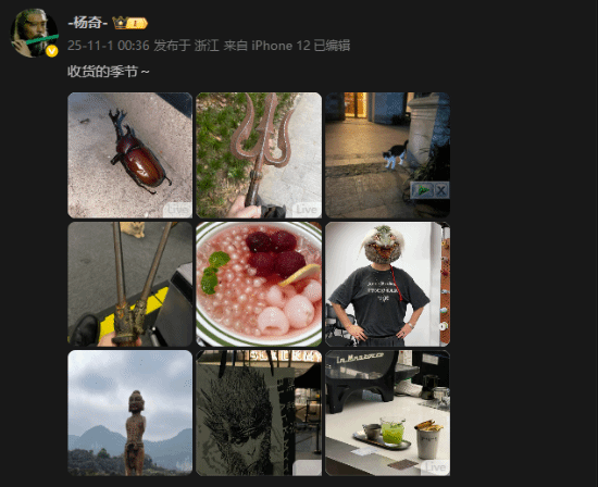 楊奇曬新圖：頭套亮眼 手拿雙錘疑似在動捕棚開工？