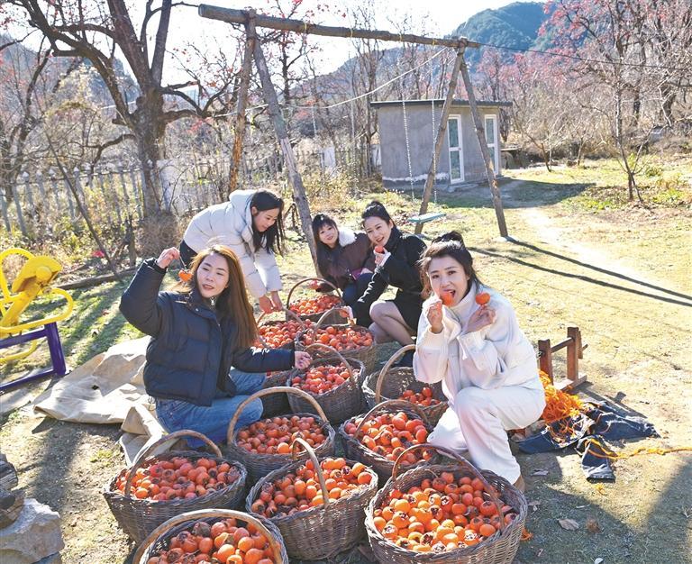 宜川：用老手藝釀出新滋味